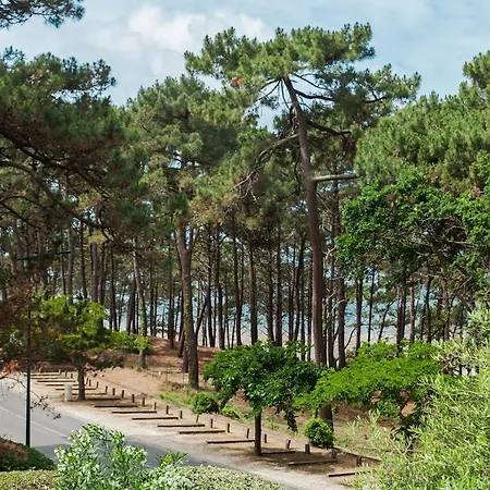 Between Pines 8 People Pereire Βίλα *